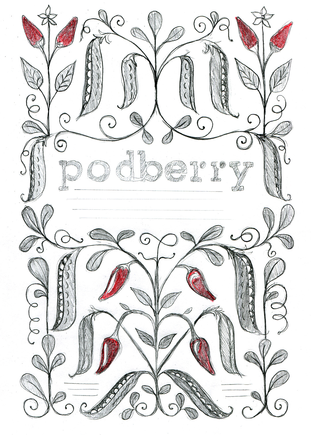 Podberry Pack Illustration Sketch Chilli | Jamie Clarke Type