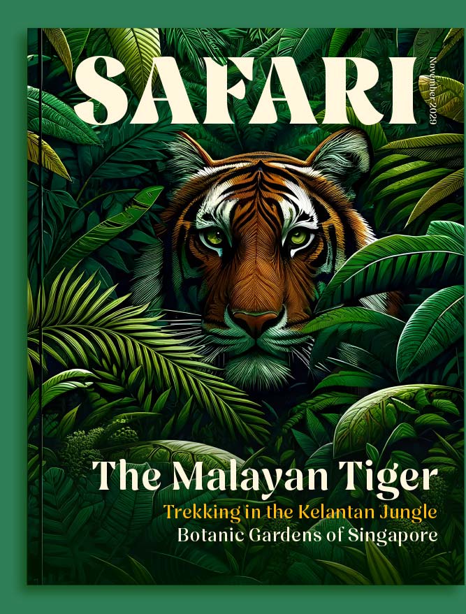 Nave Typeface. Safari Magazine, Font Example Specimen. Jamie Clarke Type